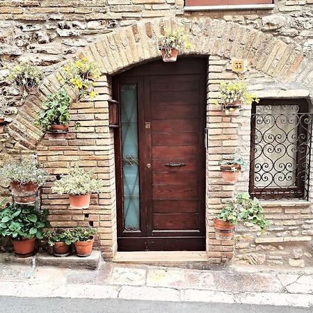 Appartamento Nonna Milde Assis Exterior foto