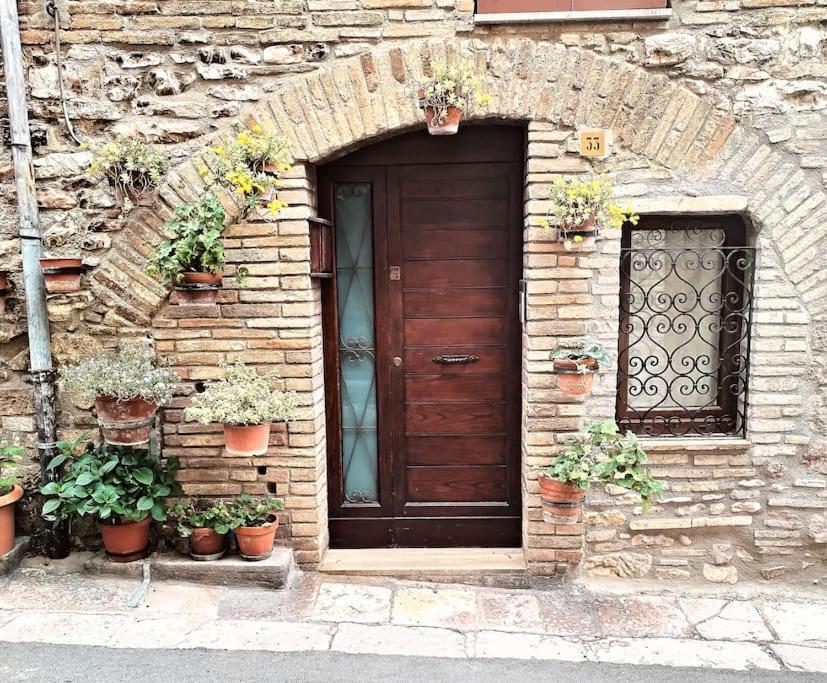 Appartamento Nonna Milde Assis Exterior foto