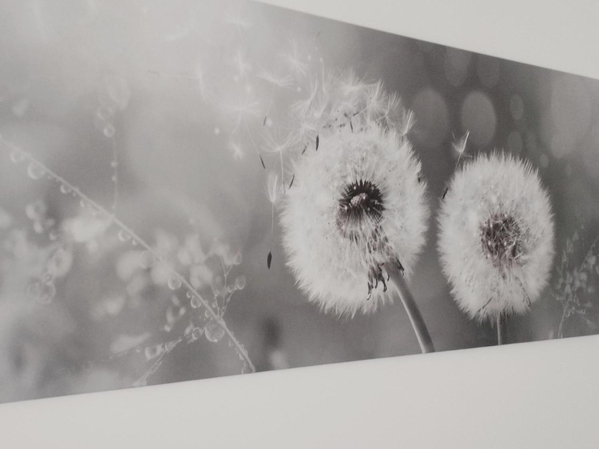 Appartamento Nonna Milde Assis Exterior foto